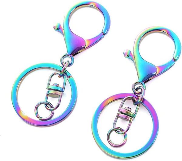 Key ring with clasp-rainbow